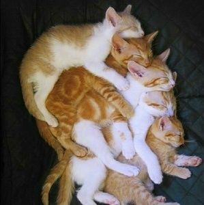 TODAY BUNDLE 5 or MORE LIKES.THEN OFFER ME 50% LESS. OFFER ENDS 4/30..💥👠👒💎💍